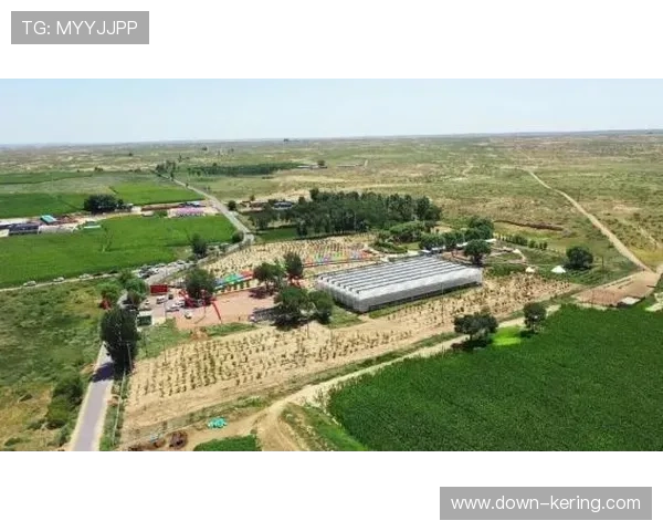 昂素镇19个嘎查中15个配备排球场地,使用预约火爆 昂素镇19个嘎查中15个配备排球场地,使用预约火爆