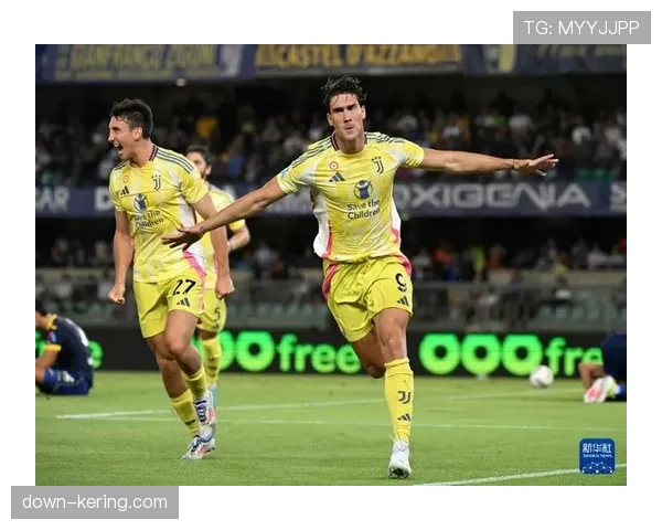 维罗纳俱乐部主席召开紧急会议，商讨夏季转会窗应对不同级别联赛的方案